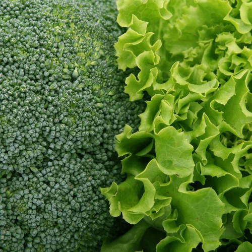 Organic Baby Spinach